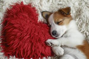 ai gerado uma pequeno cachorro dormindo em uma vermelho travesseiro foto