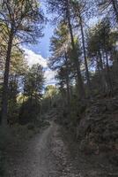 paisagens e trilhas do a lindo natureza do a serra de Cazorla, Jaén, Espanha. natureza período de férias conceito. foto