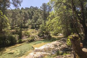 paisagens e trilhas do a lindo natureza do a serra de Cazorla, Jaén, Espanha. natureza período de férias conceito. foto
