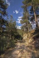 caminhada dentro a lindo natureza do a serra de Cazorla, Jaén, Espanha. natureza período de férias conceito. foto