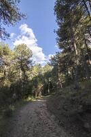 paisagens e trilhas do a lindo natureza do a serra de Cazorla, Jaén, Espanha. natureza período de férias conceito. foto