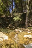 paisagens e trilhas do a lindo natureza do a serra de Cazorla, Jaén, Espanha. natureza período de férias conceito. foto