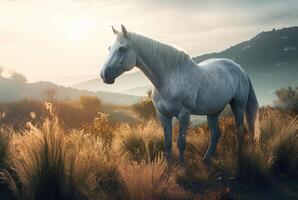 ai gerado lindo místico cavalo em manhã nascer do sol panorama. gerar ai foto