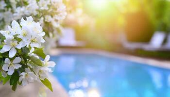 ai gerado branco flores perto uma natação piscina foto