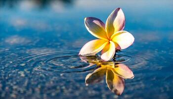 ai gerado uma solteiro flor é flutuando dentro água foto