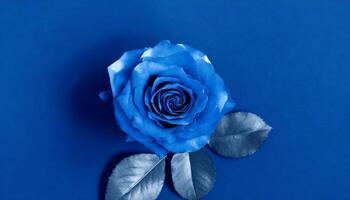 ai gerado rosa flor isolado em azul foto