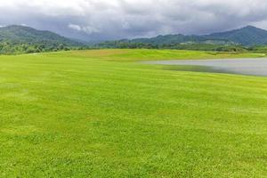 paisagem de gramado verde em um lindo jardim foto