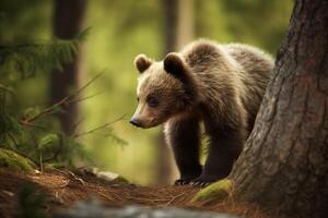 ai gerado bebê Urso floresta. gerar ai foto