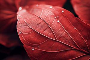 ai gerado distintivo macro folha vermelho. gerar ai foto