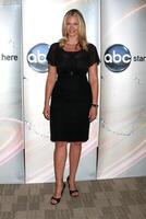 natasha henstridge às a Disney abc televisão grupo verão pressione junket às a abc escritórios dentro Burbank, ca em pode 29, 2009 2009 foto