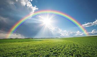 ai gerado arco Iris com brilho do sol sobre a campo foto