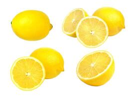 suculento amarelo fatia do limão foto
