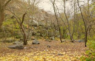 rochas de granito do cânion bukski no outono. paisagem pitoresca e belo lugar na ucrânia foto