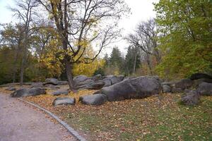 lindo natureza outono panorama. cenário Visão em outono cidade parque com dourado amarelo folhagem dentro nublado dia foto