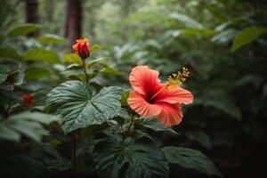 ai gerado hibisco floresta papel de parede foto