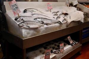 fresco frutos do mar em gelo dentro uma peixe mercado foto