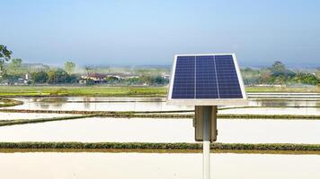 arroz campo irrigado com solar energia dentro rural área foto