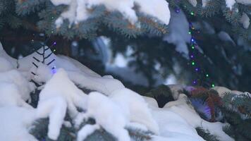 colorida festão em uma azul abeto coberto com neve. foto