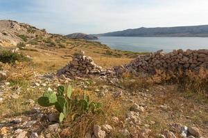 parte rural da ilha de pag foto