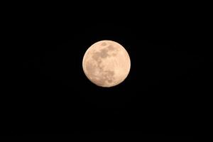 lua cheia no céu escuro durante a noite, grande super lua no céu foto