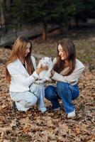 dois Adolescência irmãs. outono dentro natureza. elas sentar em seco folhas do árvores elas comunicar com cada de outros enquanto segurando uma animal. ela é tendo uma coração a coração conversação. melhor amigos. privacidade. foto