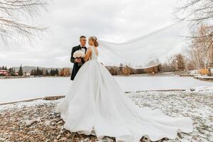 Casamento retrato. a noiva dentro a elegante grandes vestir, segurando uma ramalhete, e a noivo dentro uma clássico terno, ficar de pé abraçando dentro a inverno jardim. foto