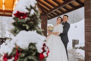 horizontal tiro do uma lindo noiva e noivo caminhando e desfrutando a parque em uma Nevado inverno dia. inverno casamento. foto