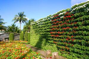 lindo flores florescendo dentro Suan luang rama 9 foto