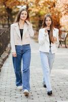 a dois Adolescência irmãs estão vestido dentro casual roupas. outono dentro natureza. elas ir para a frente e Veja para dentro a Câmera. amizade do dois irmãs. melhor amigos. privacidade a partir de adultos. foto