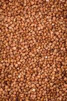 ampla grãos do cru trigo sarraceno mingau estão Castanho dentro cor foto