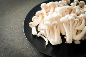 cogumelo de faia branca ou cogumelo reishi branco foto