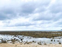 a panorama do kamala de praia é uma perfeito mistura do exuberante vegetação, arenoso margens, e a vibrante azul extensão do a andaman mar. foto