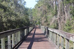 panorama por aí a Marcus bayou observação de pássaros trilha dentro Pensacola florida. foto