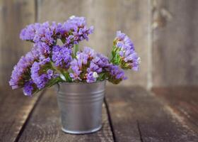 limonium sinuatum statice flores foto