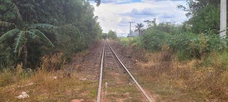 trem rastrear dentro a meio do natureza em uma nublado dia foto