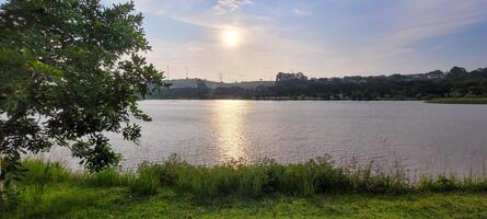 Garoto jogando dentro uma lago dentro uma parque dentro a atrasado tarde com a pôr do sol dentro a fundo foto