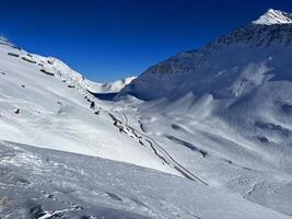 uma pessoa em esquis é em pé em uma Nevado montanha foto