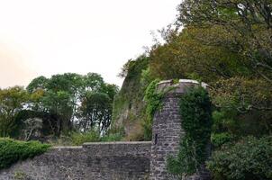 grande quantidade do crescimento em a ruínas do dunollie castelo foto