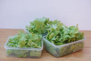 fresco verde orgânico salada legumes dentro transparente Comida caixas, preparado para cozinhando ou manter fresco dentro a geladeira. conceito, saudável comendo. lavado e pronto para comer. foto