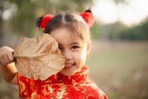 uma alegre jovem menina dentro uma vermelho cheongsam de brincadeira esconde atrás uma ampla seco folha, ao ar livre em uma ensolarado dia. foto