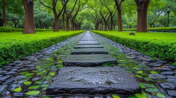 ai gerado tranquilo caminho dentro chuvoso parque com exuberante verde árvores e molhado pedras foto