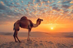 ai gerado resiliente camelo atravessa a sem fim deserto, Está robusto quadro, Armação a resumo do sobrevivência, ai gerado. foto