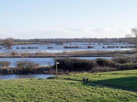 Visão sobre anualmente inundado prados às Wheldrake ings natureza reserva, norte yorkshire, Inglaterra foto