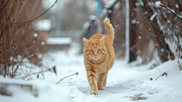 ai gerado gengibre gato graciosamente passeios através a neve em uma ensolarado dia, flocos de neve suavemente caindo, ai gerado. foto
