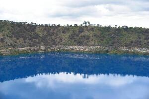 a reflexão a partir de água lago com bushland às azul lago é uma grande, monomítico, cratera lago localizado dentro uma dormente vulcânico às montar jogador dentro a calcário costa região do sul Austrália. foto