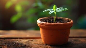 ai gerado uma fechar-se do uma pequeno, brotando plantar dentro uma terracota Panela, representando Primavera crescimento e potencial foto