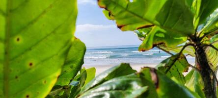 imagem do de praia com branco areia e calma mar em ensolarado dia com banhistas e surfistas em a de praia foto