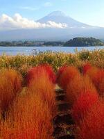 natural fotografia dentro Japão, montar Fuji montanha com neve pico, lago e vermelho plantas foto