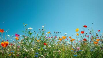 ai gerado uma vibrante Prado pontilhado com flores silvestres contra uma Claro azul céu comemora a chegada do Primavera foto