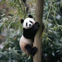 ai gerado uma panda sem esforço sobe uma bambu árvore, exibindo agilidade foto